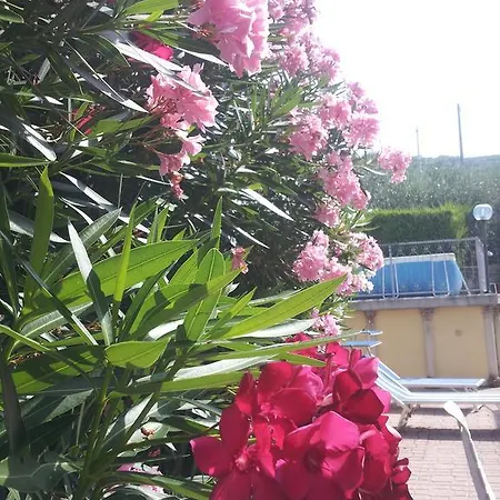 فندق مبيت وإفطار B&B Vivaldi *